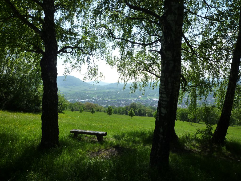 staufenTecktour 15